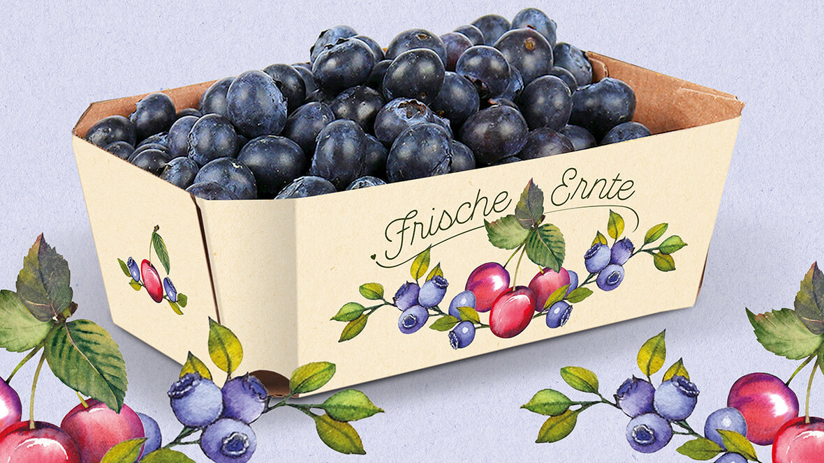 Die Verpackungsdesignidee von L&S zeigt eine Kartonschale mit Heidelbeeren.