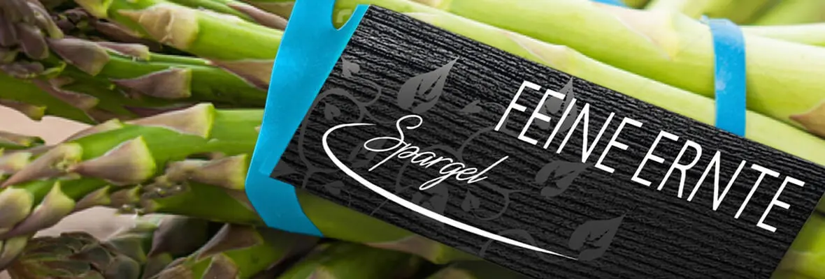 Nahaufnahme von einem Bund grünen Spargel, der von einem Elastitag mit Beschriftung zusammengehalten wird.