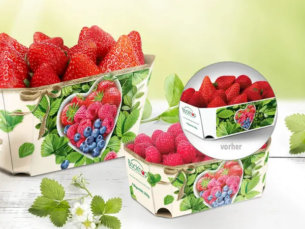 Auf einem rustikalen weißen Tisch stehen 3 kreative Kartonschalen für Heidelbeeren, Erdbeeren und Himbeeren.