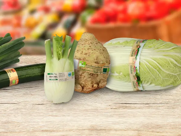 Auf einem Tisch liegen Chinakohl, Gurke, Fenchel, Knollen-Sellerie und Lauch, die mit einer Klebebanderole gekennzeichnet sind.
