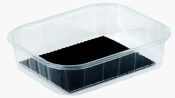 Freigestelltes Bild einer R-PET Schale mit eingeklebtem Pad aber ohne Etikett oder Siegelfolie