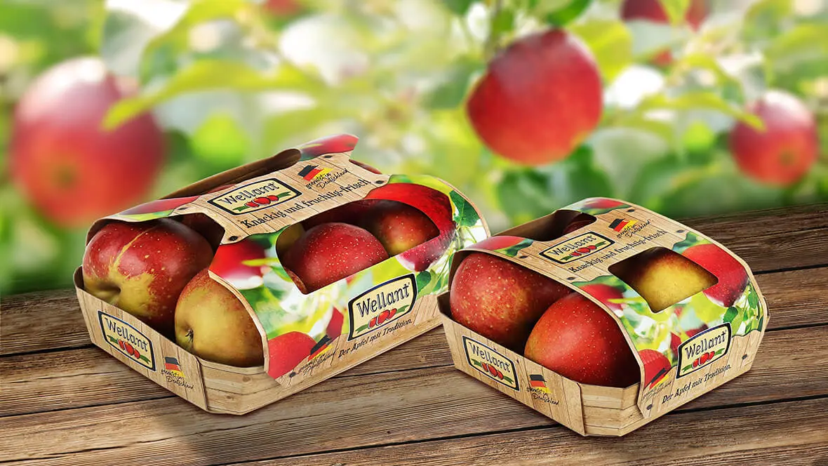 Auf einem Tisch steht je eine Kartonschalen für Obst, die mit jeweils 4 und 6 Äpfel befüllt sind.
