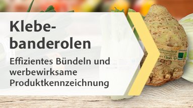 Banner zeigt einen Tisch, auf dem Chinakohl, Gurke, Fenchel, Knollen-Sellerie und Lauch, die mit einer Klebebanderole gekennzeichnet sind, liegen.