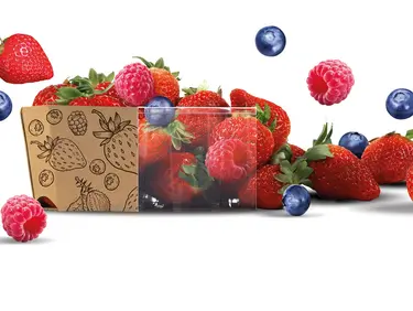Freistgestellte Obstverpackung mit Erdbeeren, Himbeeren und Blaubeeren