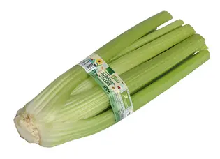 Freigestelltes Bild eines Staudensellerie mit Banderole für der Handelsmarke EDEKA Bio.