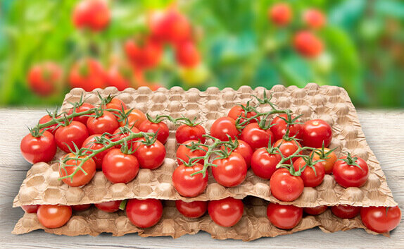 Mehrere Schichten mit Tomaten, die durch ein papierbasiertes Legenest gestapelt werden können.
